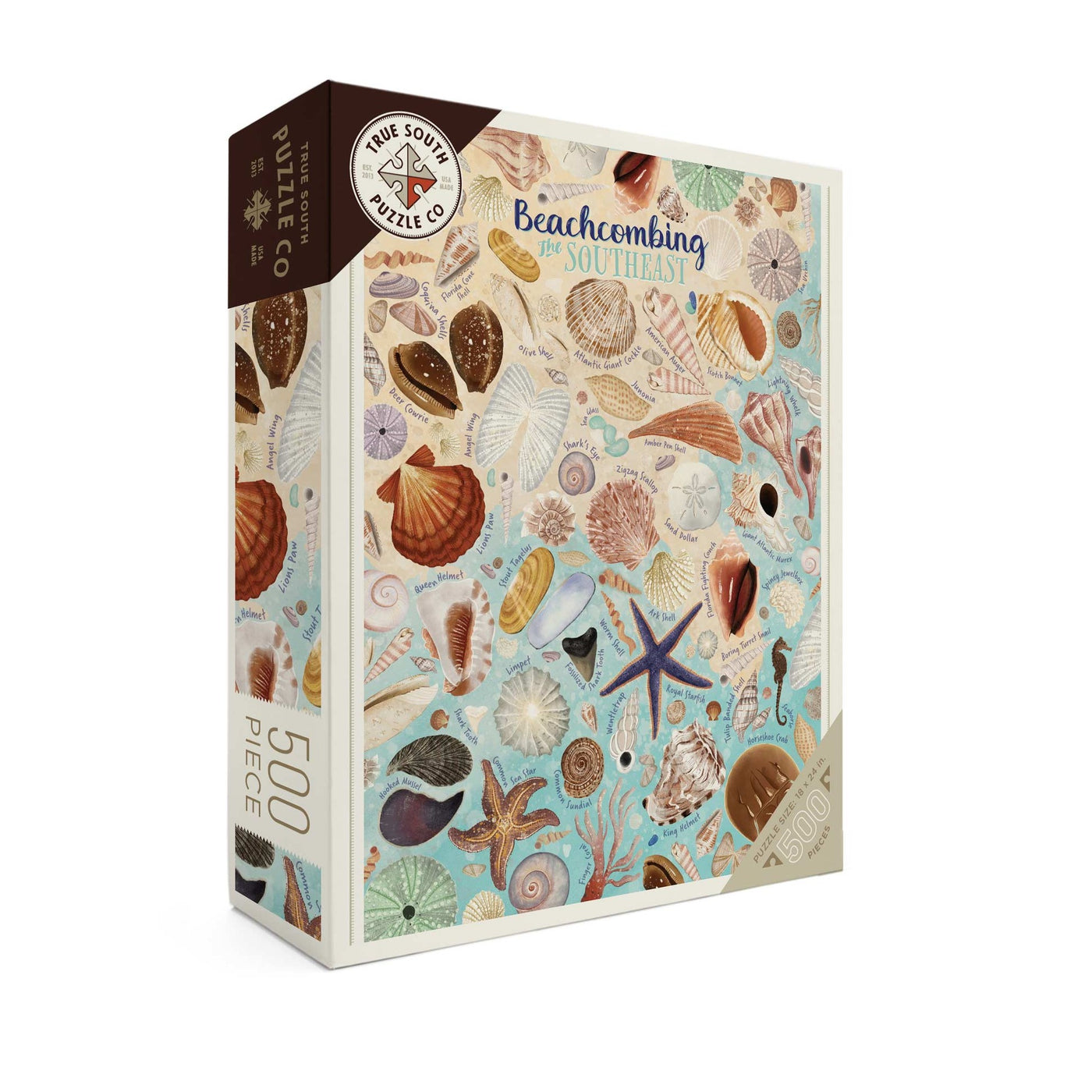 beachcombing: the southeast