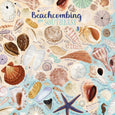beachcombing: the southeast