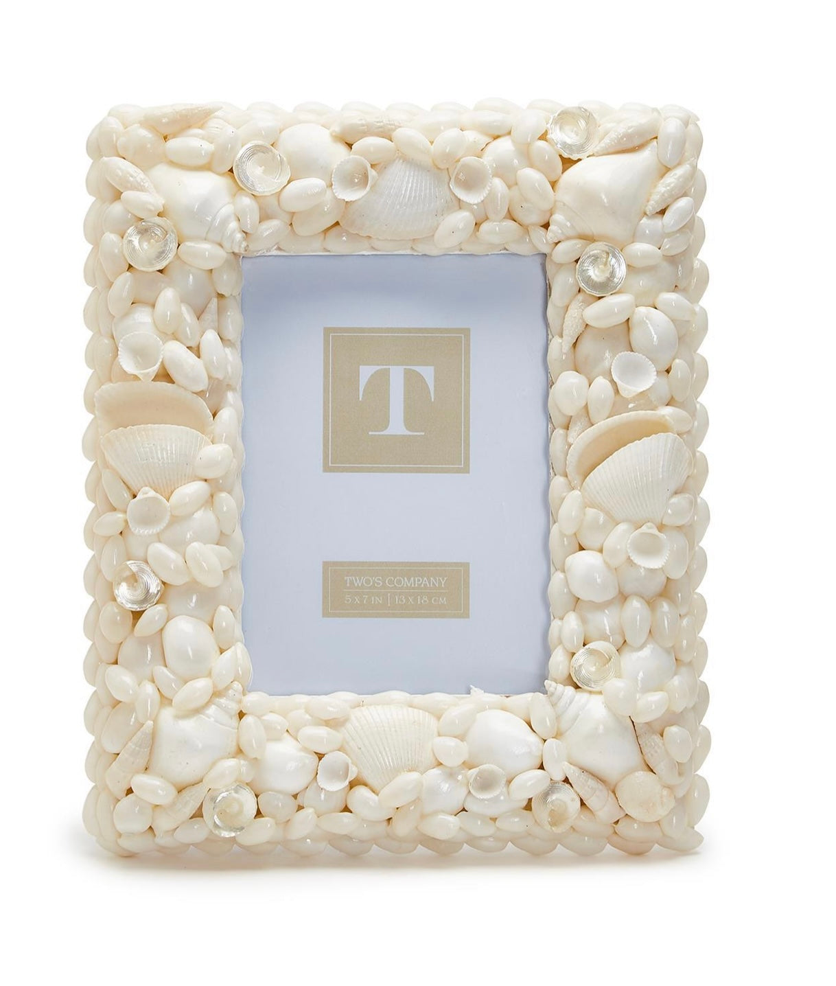 Coquillage Shell Photo Frame - 5x7