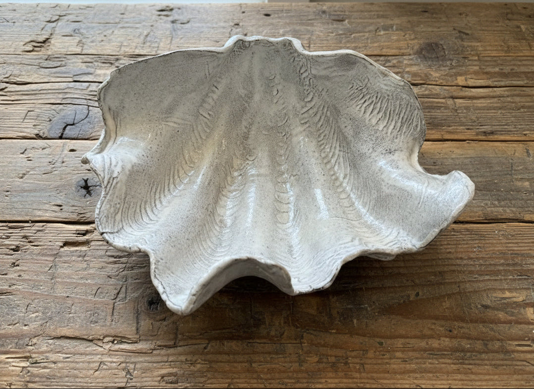 XL Tridacna Shell Bowl