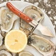 carolina shucker