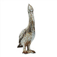 standing pelican