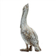 standing pelican