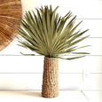 dried palm leaf bundle