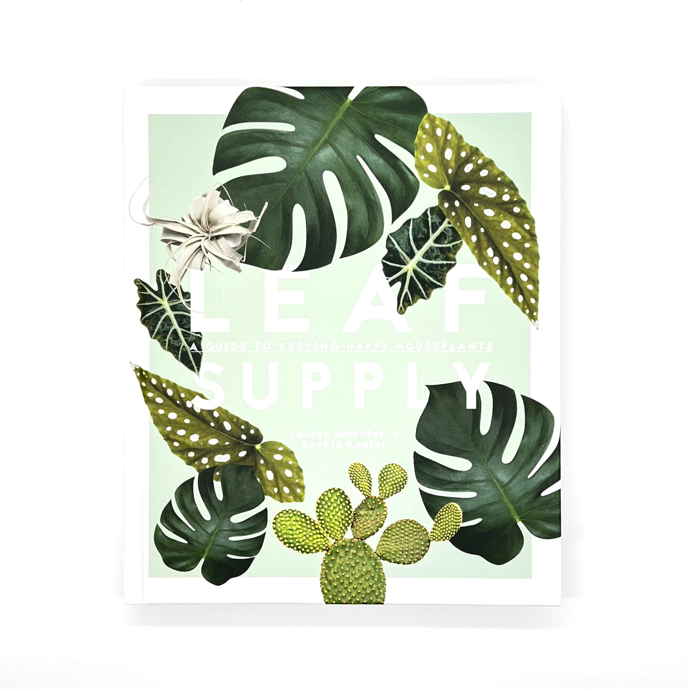 leaf supply: a guide to keeping happy house plants