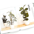 leaf supply: a guide to keeping happy house plants