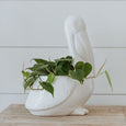 pelican planter