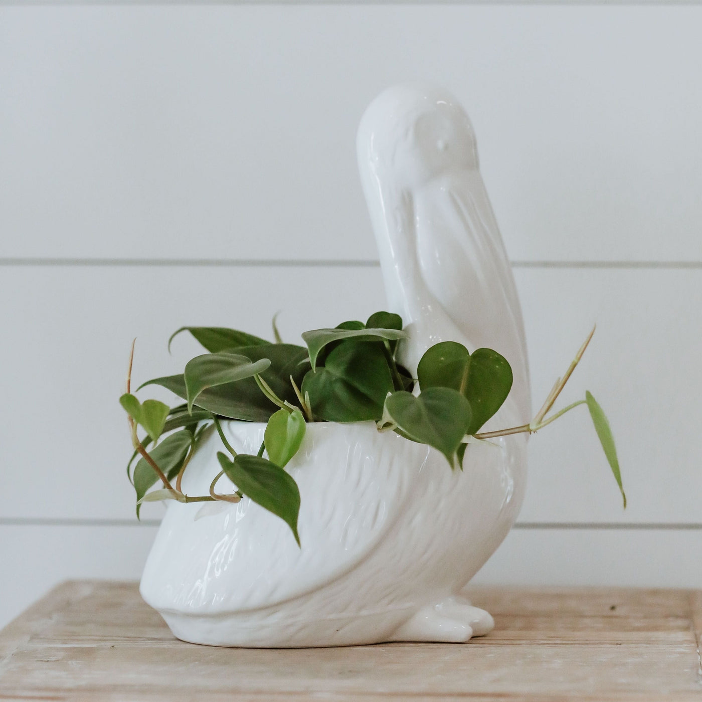 pelican planter - store pick up only