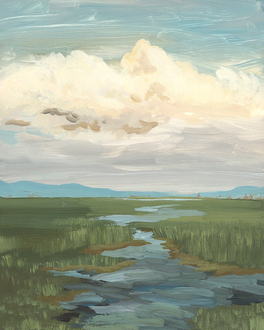 Tidal Marsh