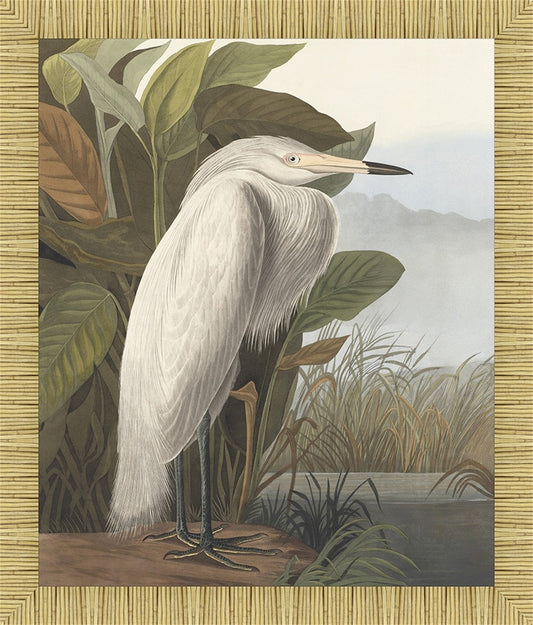 Egret