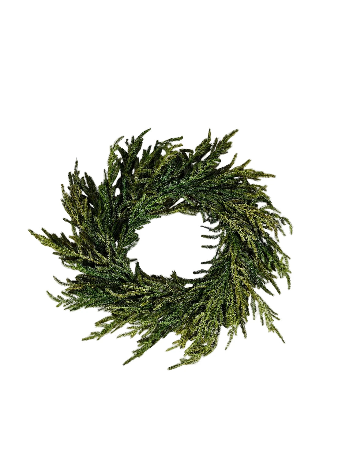 Real Touch Norfolk Pine Wreath - 24"