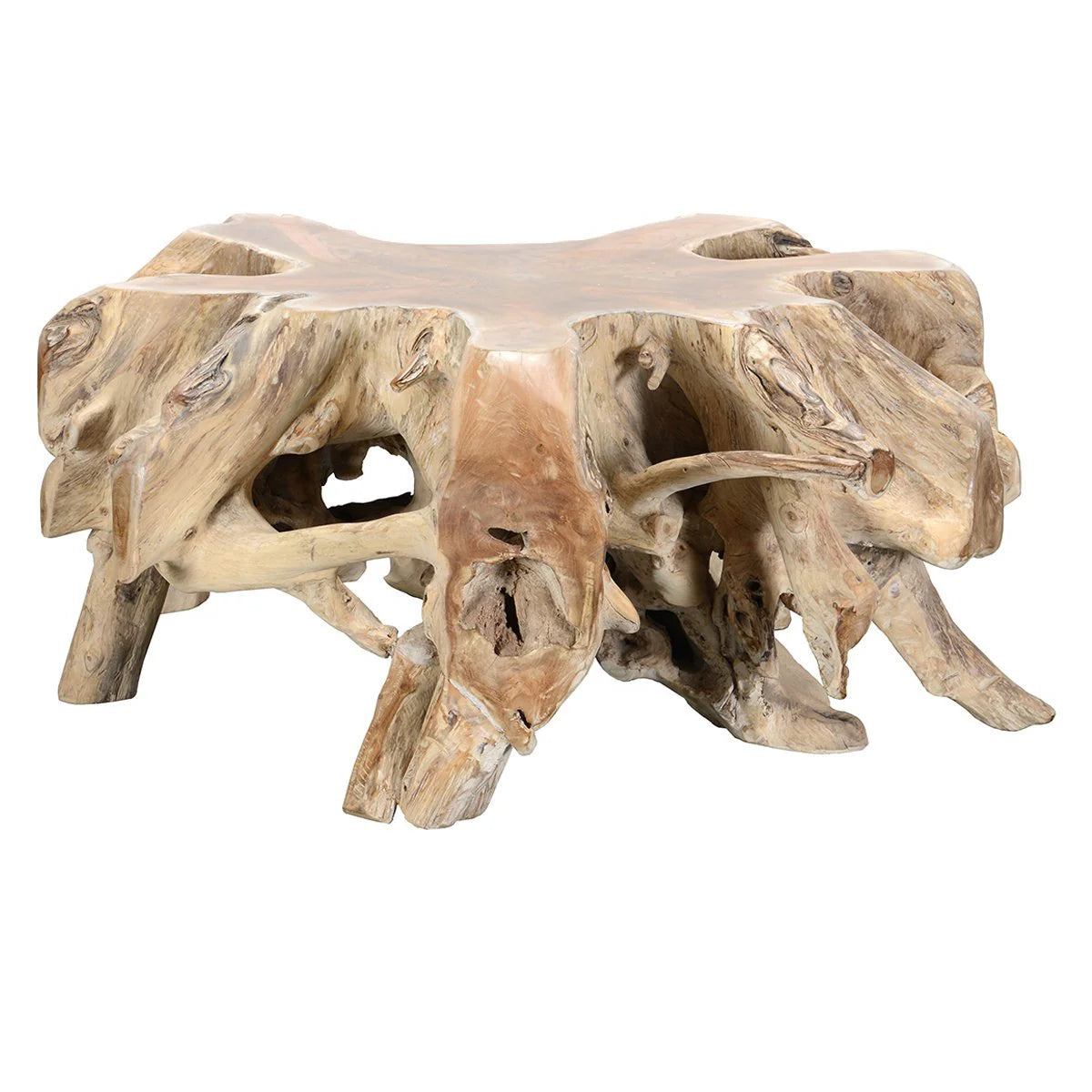 Cypress Teak Root Coffee Table