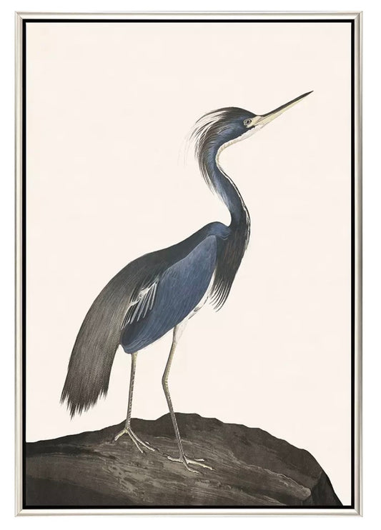 Great Heron