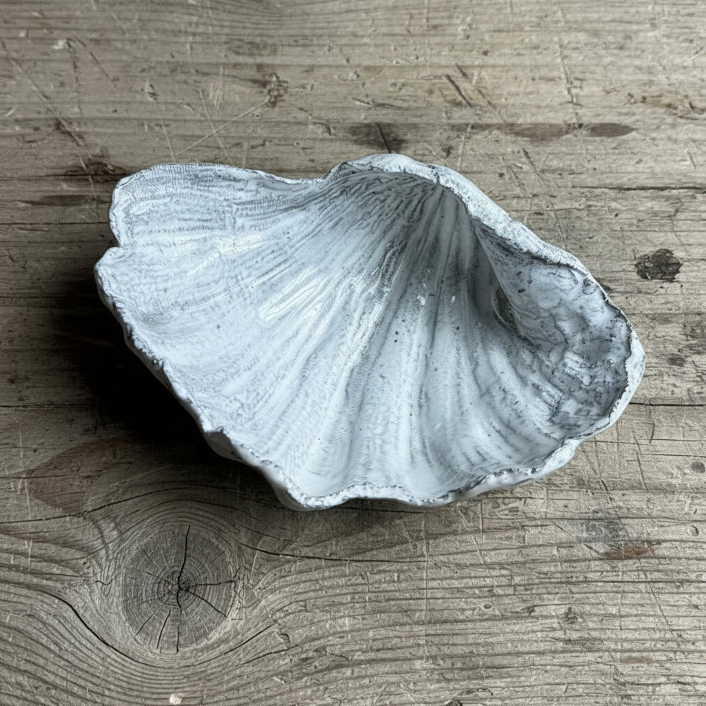 Original Shell – Ella's