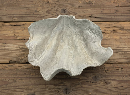 Medium Tridacna Shell