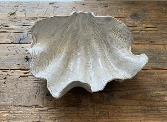 XL Tridacna Shell Bowl