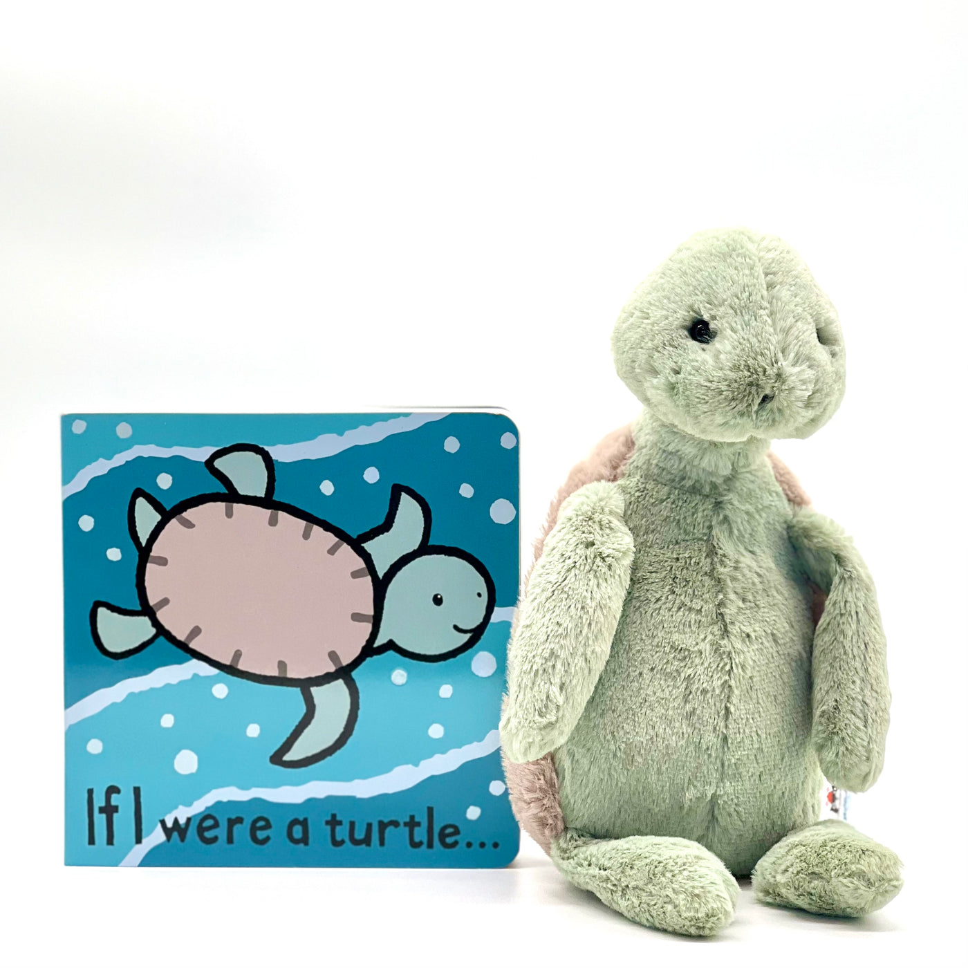 if i were a turtle book set
