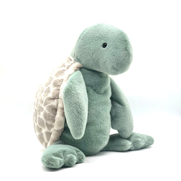 taylor the turtle