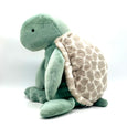 taylor the turtle