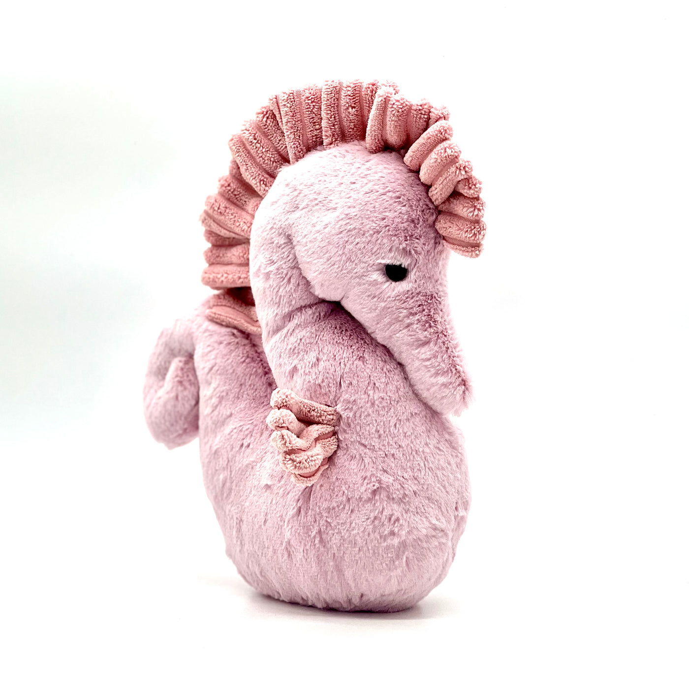 sienna seahorse