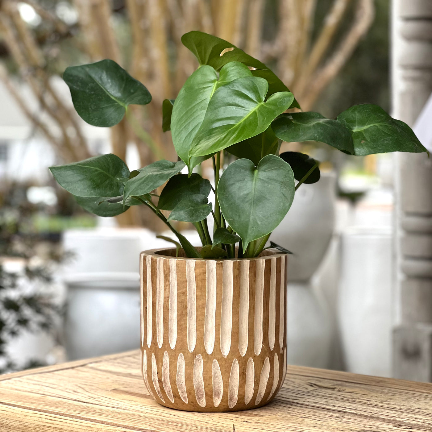 wood planter