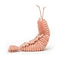 sheldon shrimp