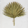 dried palm leaf bundle